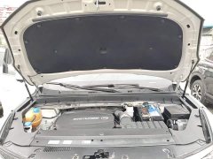 GAC Aion GS8 2020 GS8S 390T Two-Wheel Drive Luxury Smart Connected Edition - ფოტო 20