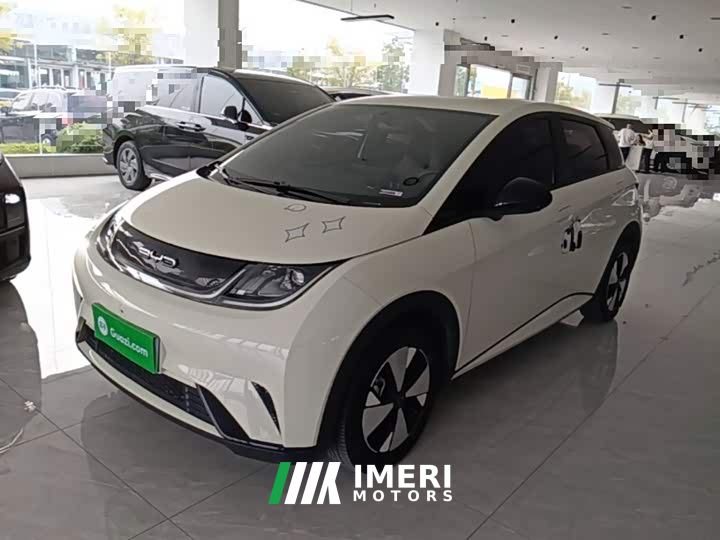 BYD Dolphin 420km Freedom Edition