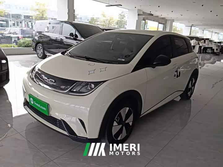 BYD Dolphin 2023 420km Freedom Edition - ავტომობილი ჩინეთიდან