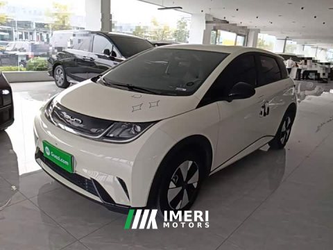 2024 BYD Dolphin 420km Freedom Edition - car from China
