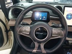 BYD Dolphin 2023 420km Freedom Edition - ფოტო 11