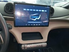 BYD Dolphin 2023 420km Freedom Edition - ფოტო 13
