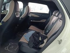 BYD Dolphin 2023 420km Freedom Edition - ფოტო 17