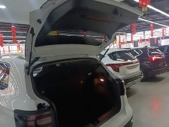 Volkswagen Tanyoung 1.5L Automatic Smart Connected Edition - ფოტო 19