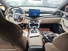 BYD Qin PLUS Champion Edition DM-i 55KM Leading - ფოტო 10