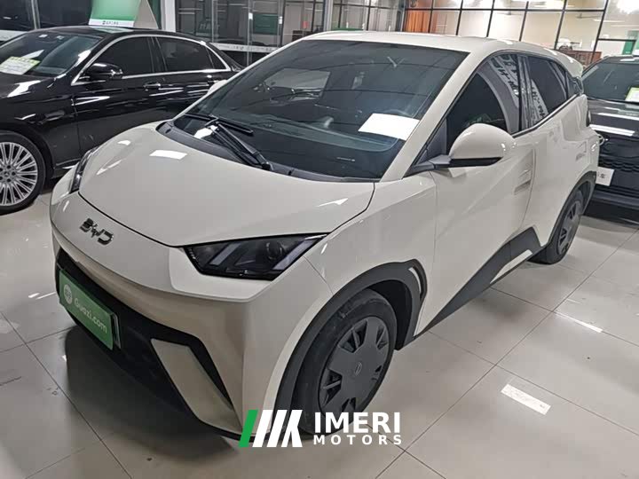 BYD Seagull Glory Edition 305km Vitality Version - ავტომობილი ჩინეთიდან