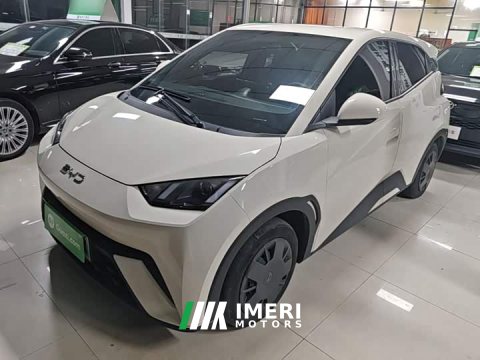2024 BYD Seagull Glory Edition 305km Vitality Version - car from China