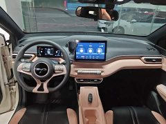 BYD Seagull Glory Edition 305km Vitality Version - ფოტო 10