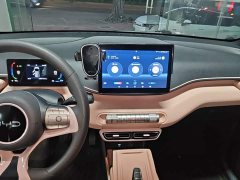 BYD Seagull Glory Edition 305km Vitality Version - ფოტო 13