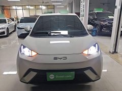 BYD Seagull Glory Edition 305km Vitality Version - ფოტო 3