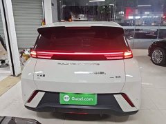 BYD Seagull Glory Edition 305km Vitality Version - ფოტო 6