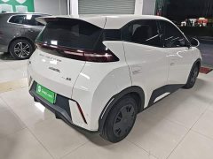 BYD Seagull Glory Edition 305km Vitality Version - ფოტო 7
