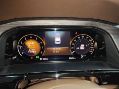 Volkswagen Viloran 380TSI Zunchi Edition - ფოტო 12