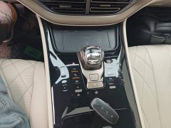 Denza BYD Denza D9 2022 DM-i 1040 Premium - ფოტო 14