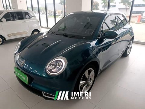 2024 ORA Good Cat 2023 401km Standard Range Deluxe Edition LFP Battery - ავტომობილი ჩინეთიდან