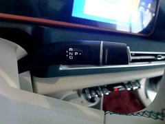 ORA Good Cat 2023 401km Standard Range Deluxe Edition LFP Battery - ფოტო 14