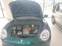 ORA Good Cat 2023 401km Standard Range Deluxe Edition LFP Battery - ფოტო 20