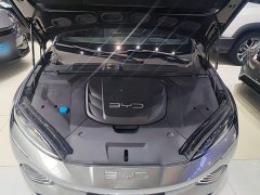 BYD Dolphin 2023 Champion Edition 700km Performance Version - ფოტო 20