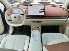 ORA Good Cat 430km Deluxe Edition - ფოტო 10