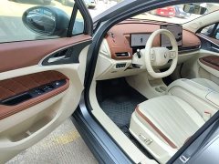 ORA Good Cat 430km Deluxe Edition - ფოტო 16