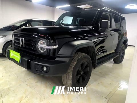 2026 Tank 300 2025 2.0T Gasoline Challenger - ავტომობილი ჩინეთიდან