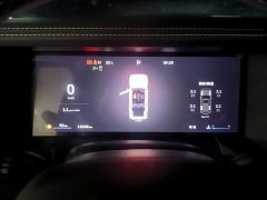 Tank 300 2025 2.0T Gasoline Challenger - ფოტო 12