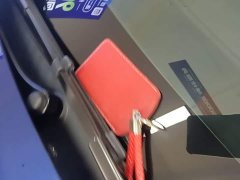 Tesla Model Y Standard Range RWD - ფოტო 9