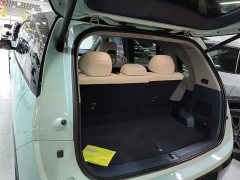 Zeekr Geely Zeekr MIX 2025 Smart Driving Edition - фото 19