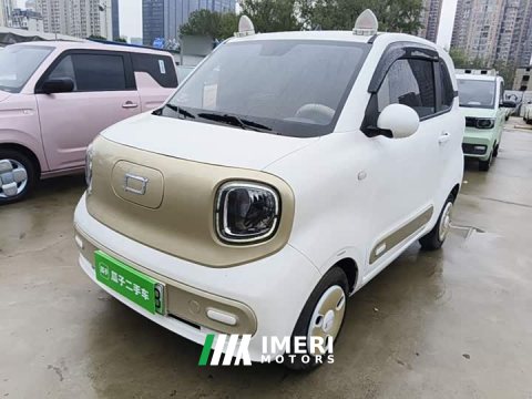 2025 FAW Besturn Xiaoma 2024 170km Vitality Edition - ავტომობილი ჩინეთიდან
