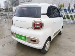 FAW Besturn Xiaoma 2024 170km Vitality Edition - фото 5
