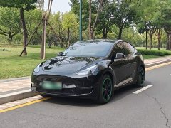 Tesla Model Y Long Range All-Wheel Drive - ფოტო 1