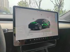 Tesla Model Y Long Range All-Wheel Drive - ფოტო 13