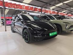Tesla Model Y Long Range All-Wheel Drive - ფოტო 4