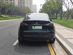 Tesla Model Y Long Range All-Wheel Drive - ფოტო 6