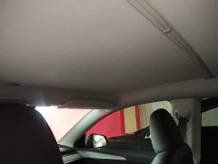 Tesla Model Y Rear-Wheel Drive - ფოტო 18