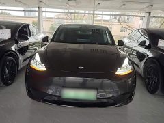 Tesla Model Y Rear-Wheel Drive - ფოტო 3