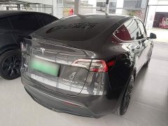Tesla Model Y Rear-Wheel Drive - ფოტო 7