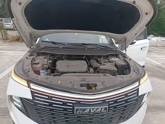 Haval Divine Beast 1.5T Smart Enjoy Edition - ფოტო 20