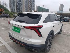 Haval Divine Beast 1.5T Smart Enjoy Edition - ფოტო 7