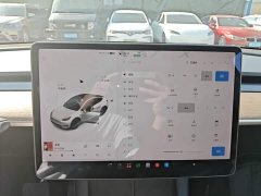 Tesla Model Y 2021 Long Range All-Wheel Drive 3D7 - ფოტო 13