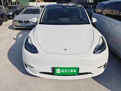 Tesla Model Y 2021 Long Range All-Wheel Drive 3D7 - ფოტო 3