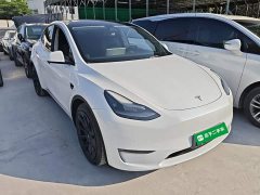 Tesla Model Y 2021 Long Range All-Wheel Drive 3D7 - ფოტო 4