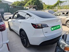 Tesla Model Y 2021 Long Range All-Wheel Drive 3D7 - ფოტო 5