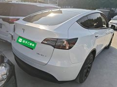 Tesla Model Y 2021 Long Range All-Wheel Drive 3D7 - ფოტო 7