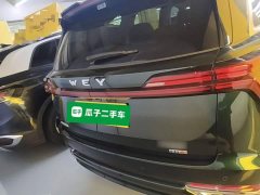 Great Wall WEY Blue Mountain 2025 Four-Wheel Drive Max - ფოტო 6
