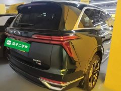 Great Wall WEY Blue Mountain 2025 Four-Wheel Drive Max - ფოტო 7