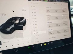 Tesla Model Y Long Range All-Wheel Drive - ფოტო 12