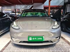 Tesla Model Y Long Range All-Wheel Drive - ფოტო 3