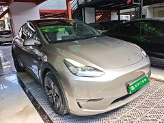 Tesla Model Y Long Range All-Wheel Drive - ფოტო 4