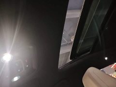 BYD Dolphin 06 DM-i Smart Drive 120KM Premium Edition - ფოტო 14
